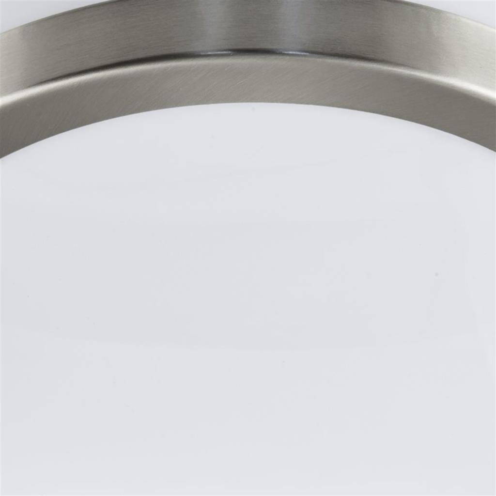 Newmark Outdoor Wall/Ceiling - Stainless Steel & Polycarb