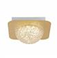 Celestia LED Flush -Gold Lead with Clear Acrylic